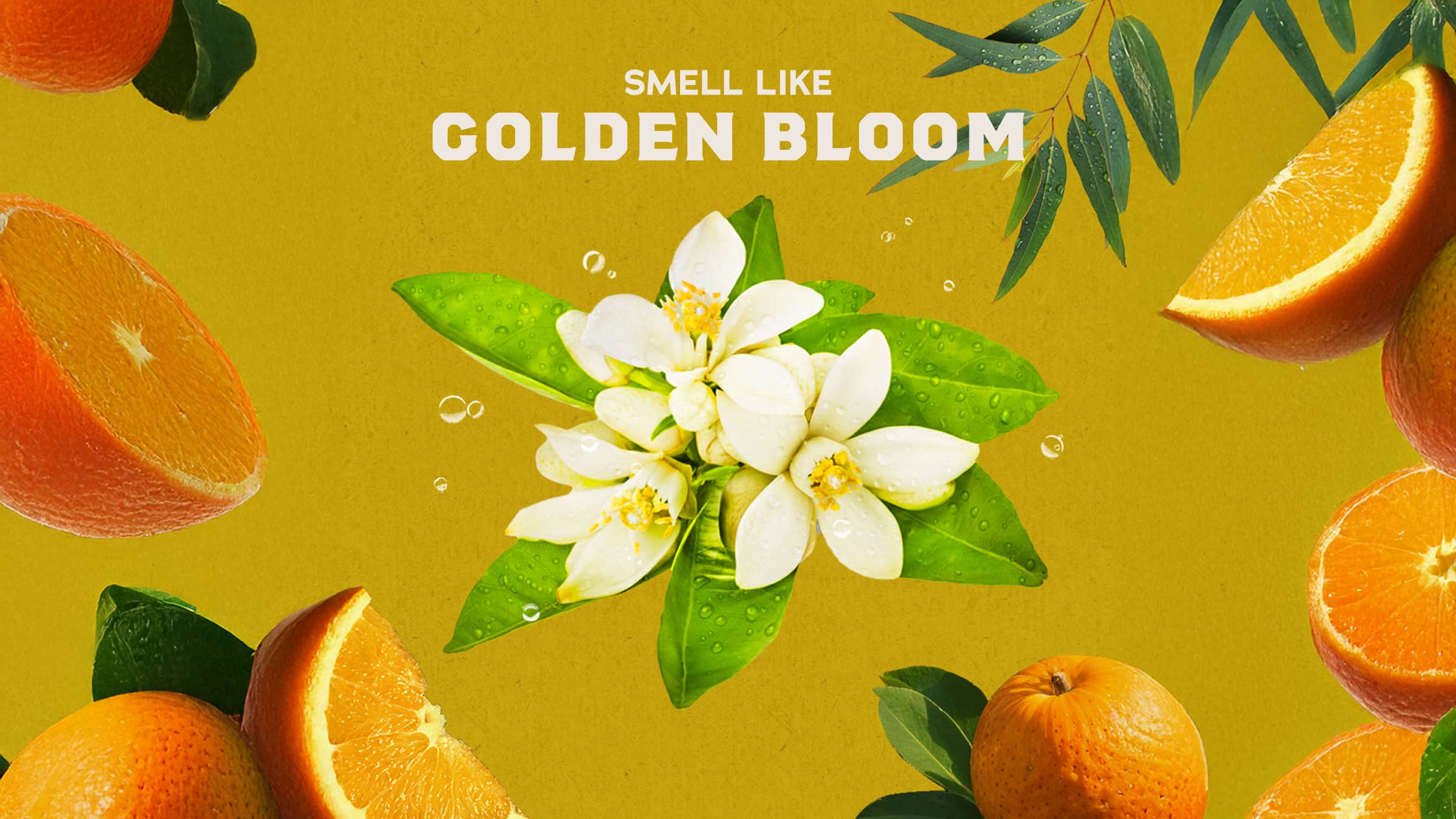 Mountain Meadow Spray Deodorant - Image 3